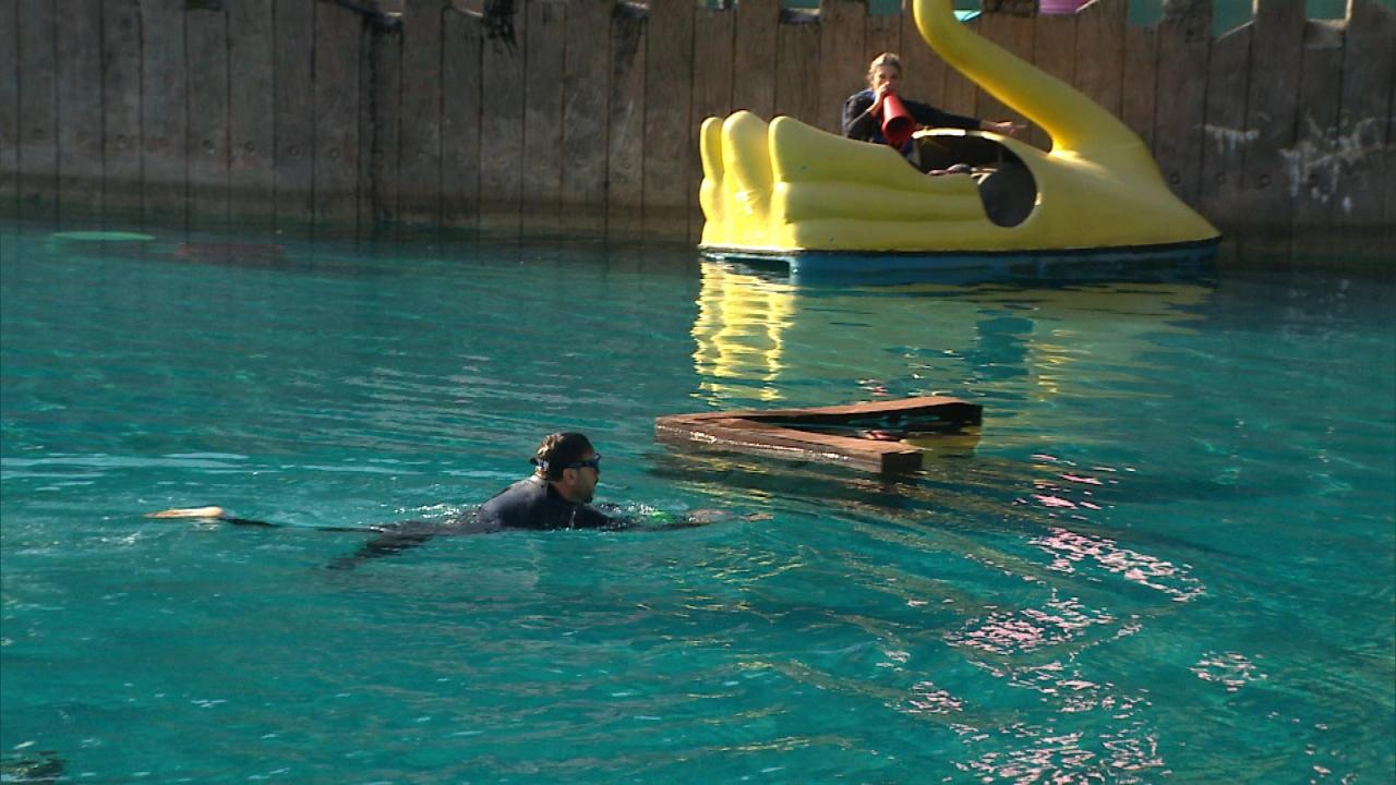 Em prova dos casais, participantes encaram a água para resgatarem seus pares que estão presos em um pedalinho