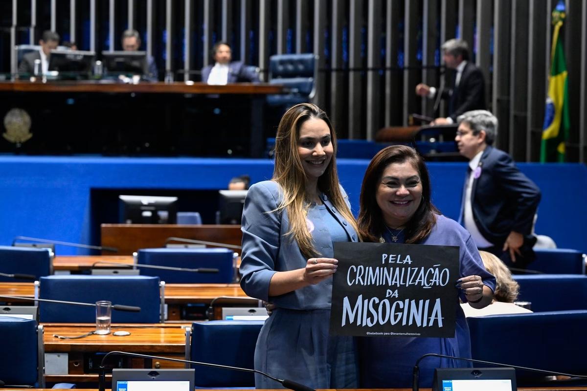 Senado aprova Lei que equipara misoginia com crime de racismo