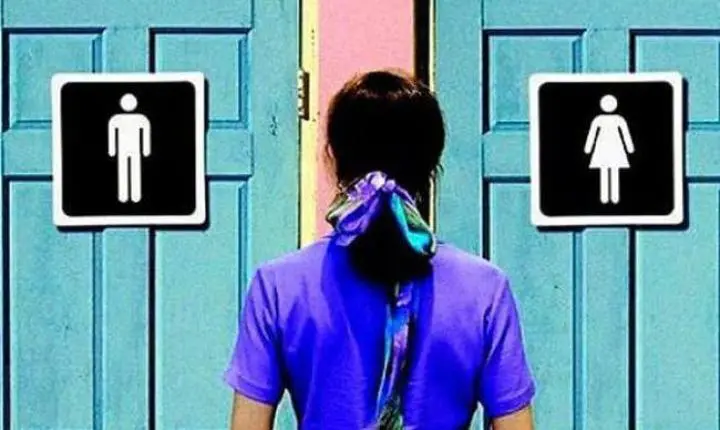 Lei que proíbe mulheres trans em banheiros femininos gera revolta e levanta debate sobre direitos no Brasil